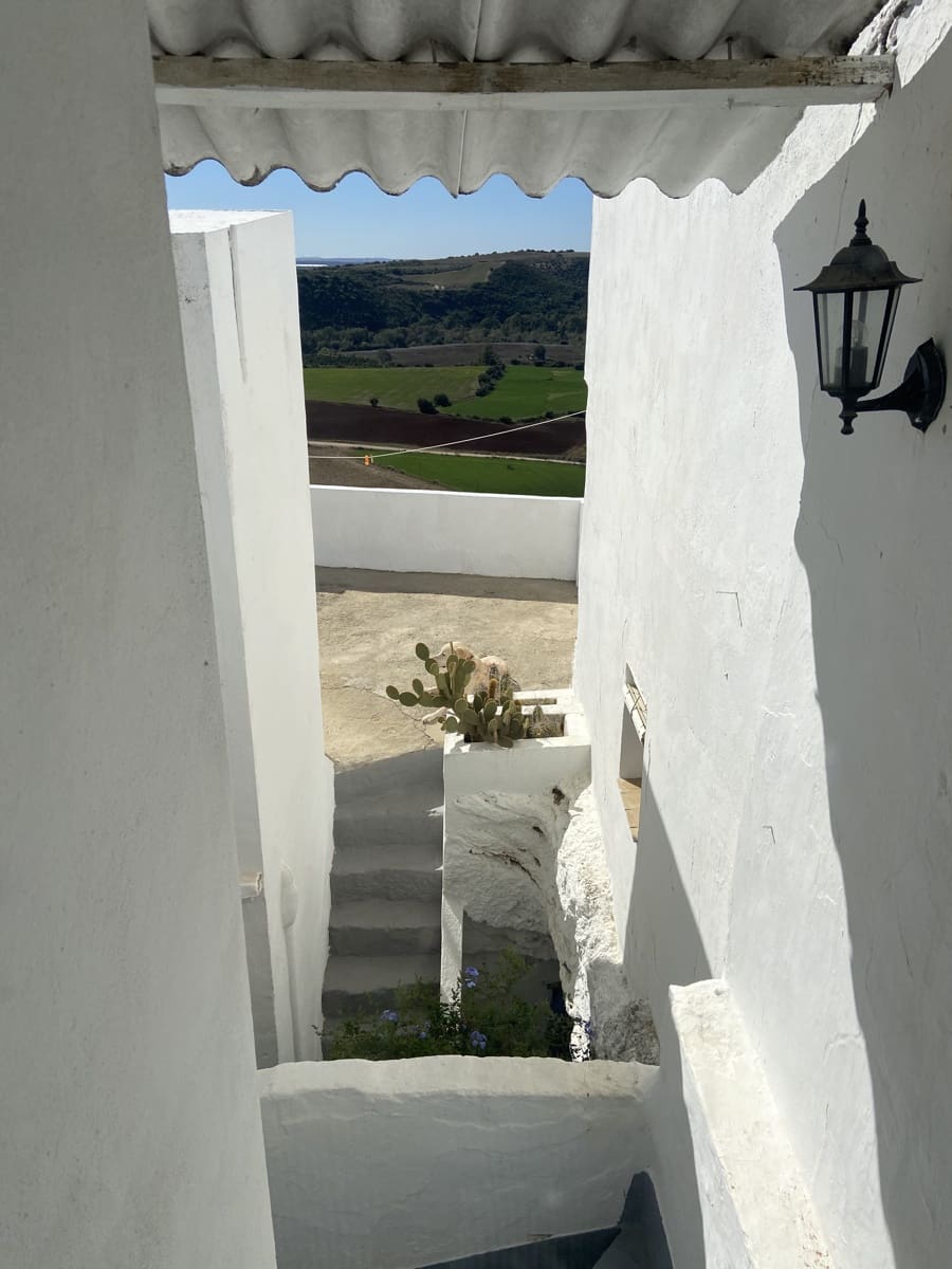 5 camera da letto Finca/Casa di Campagna in vendita in Arcos de la Frontera - 398.000 € (Rif: 8845751)