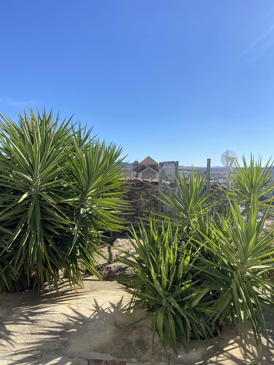 5 camera da letto Finca/Casa di Campagna in vendita in Arcos de la Frontera - 398.000 € (Rif: 8845751)