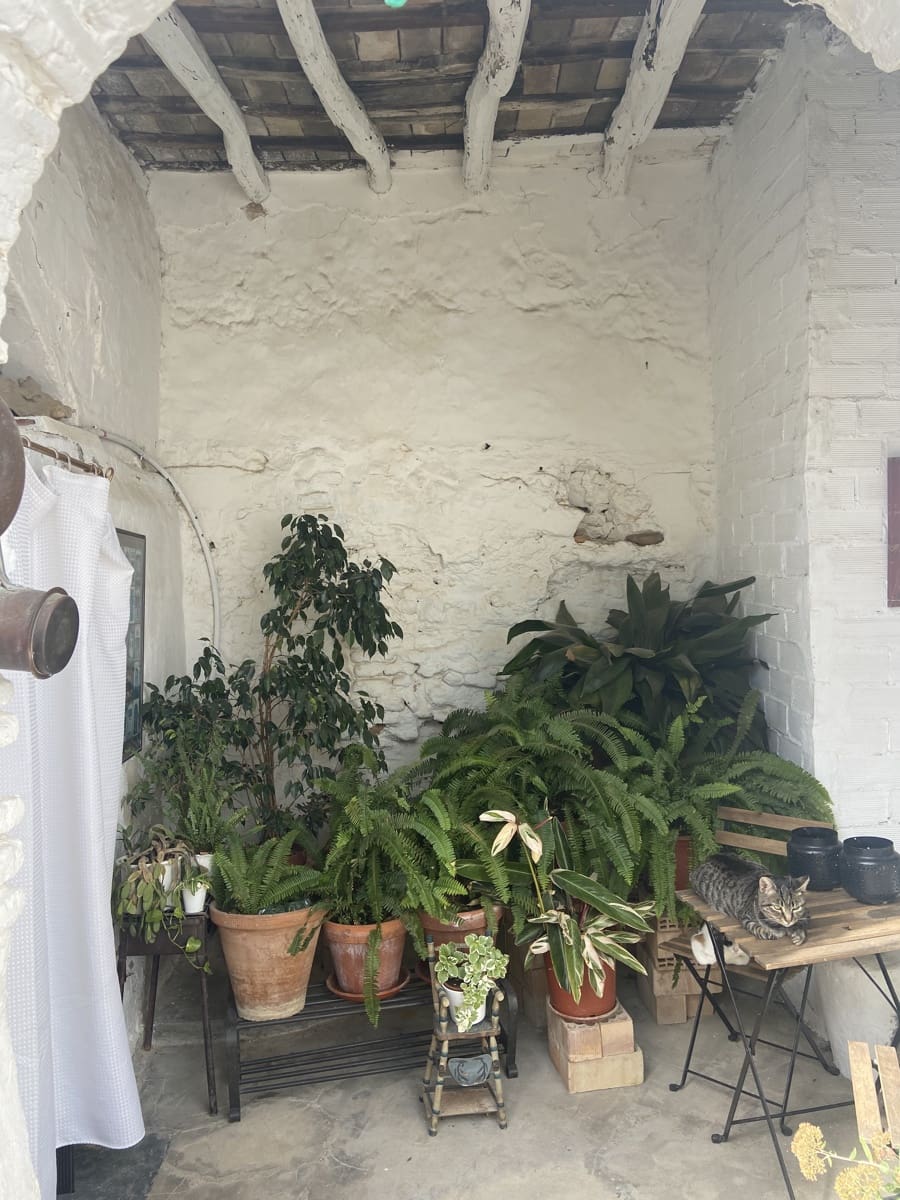 5 camera da letto Finca/Casa di Campagna in vendita in Arcos de la Frontera - 398.000 € (Rif: 8845751)