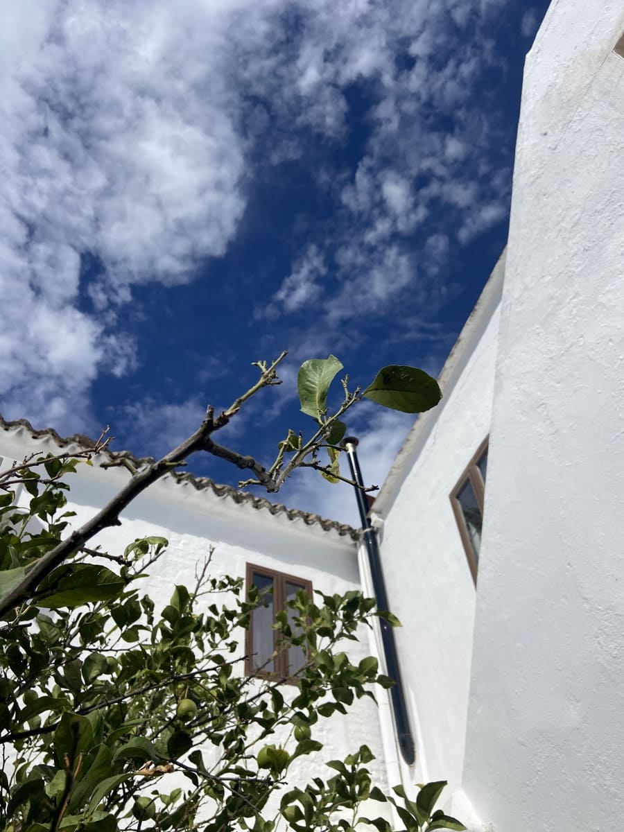 5 camera da letto Finca/Casa di Campagna in vendita in Arcos de la Frontera - 398.000 € (Rif: 8845751)