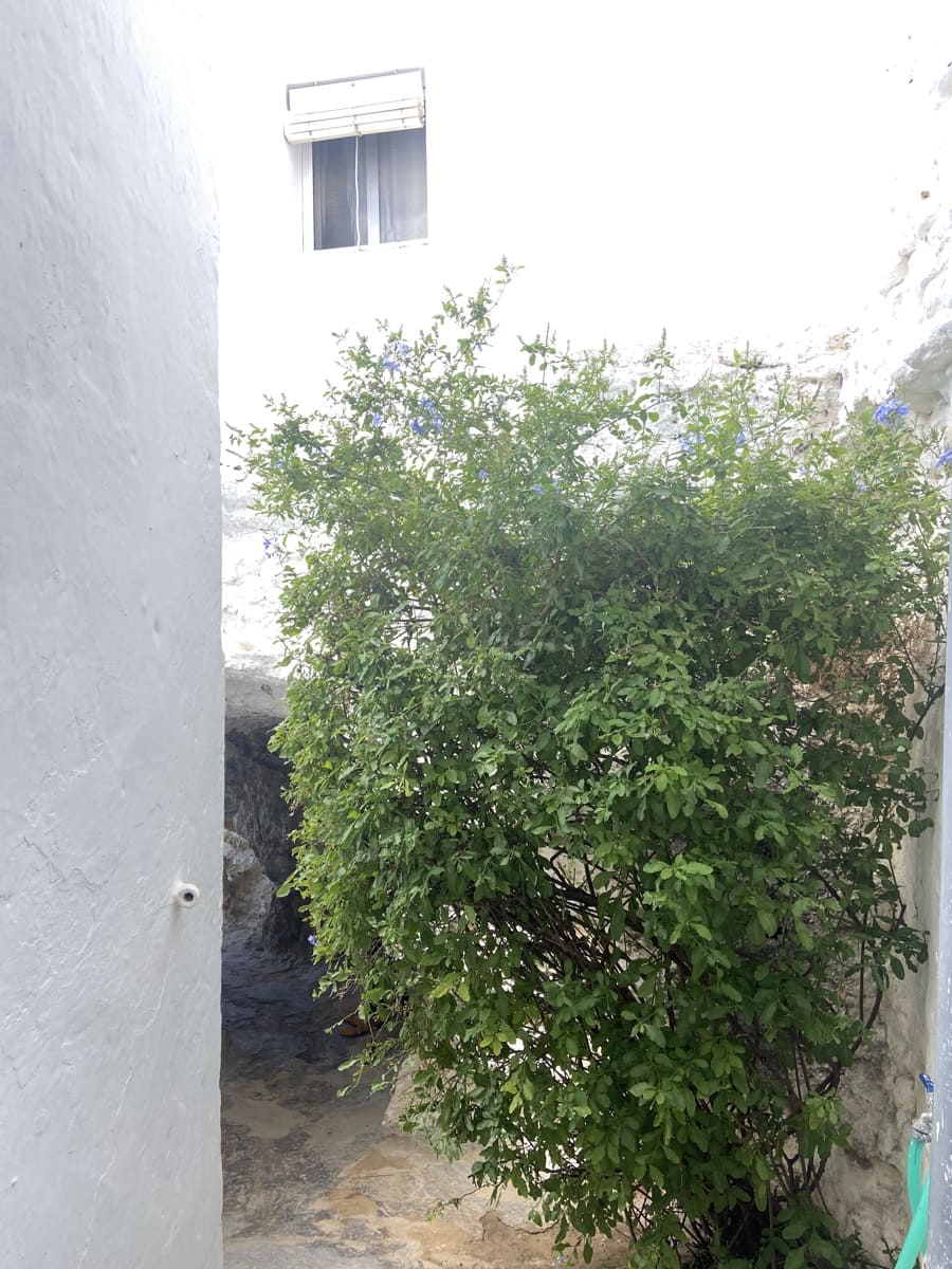 5 camera da letto Finca/Casa di Campagna in vendita in Arcos de la Frontera - 398.000 € (Rif: 8845751)