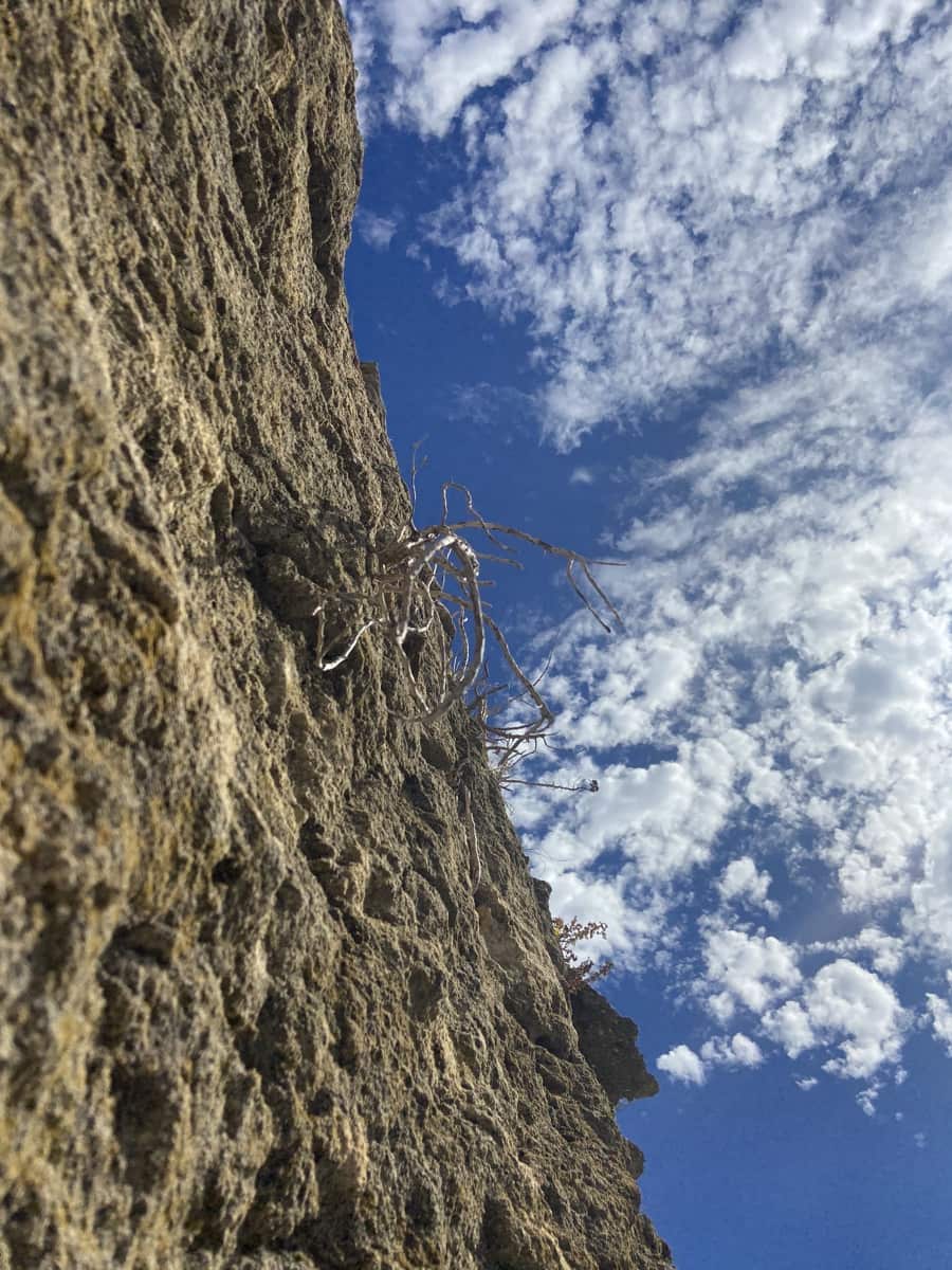 5 camera da letto Finca/Casa di Campagna in vendita in Arcos de la Frontera - 398.000 € (Rif: 8845751)