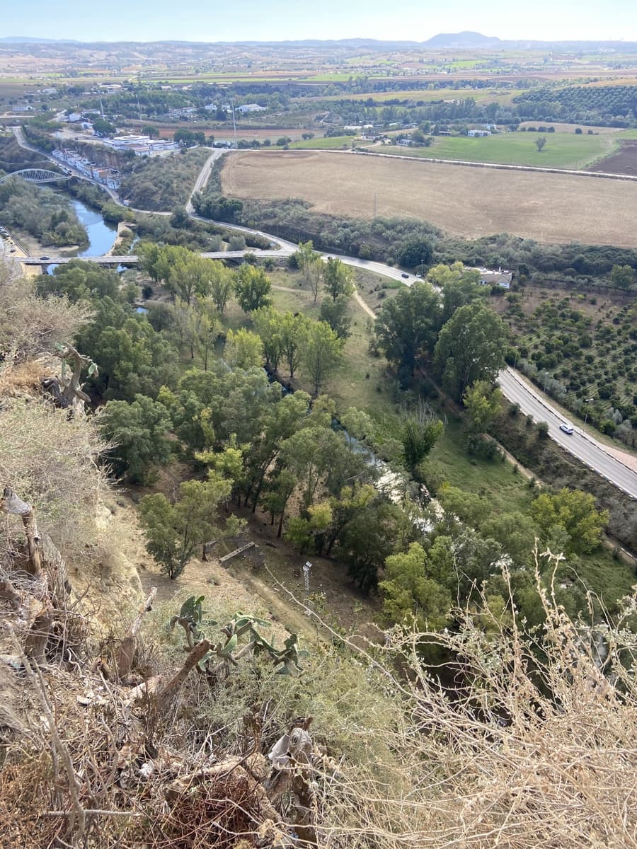 5 camera da letto Finca/Casa di Campagna in vendita in Arcos de la Frontera - 398.000 € (Rif: 8845751)