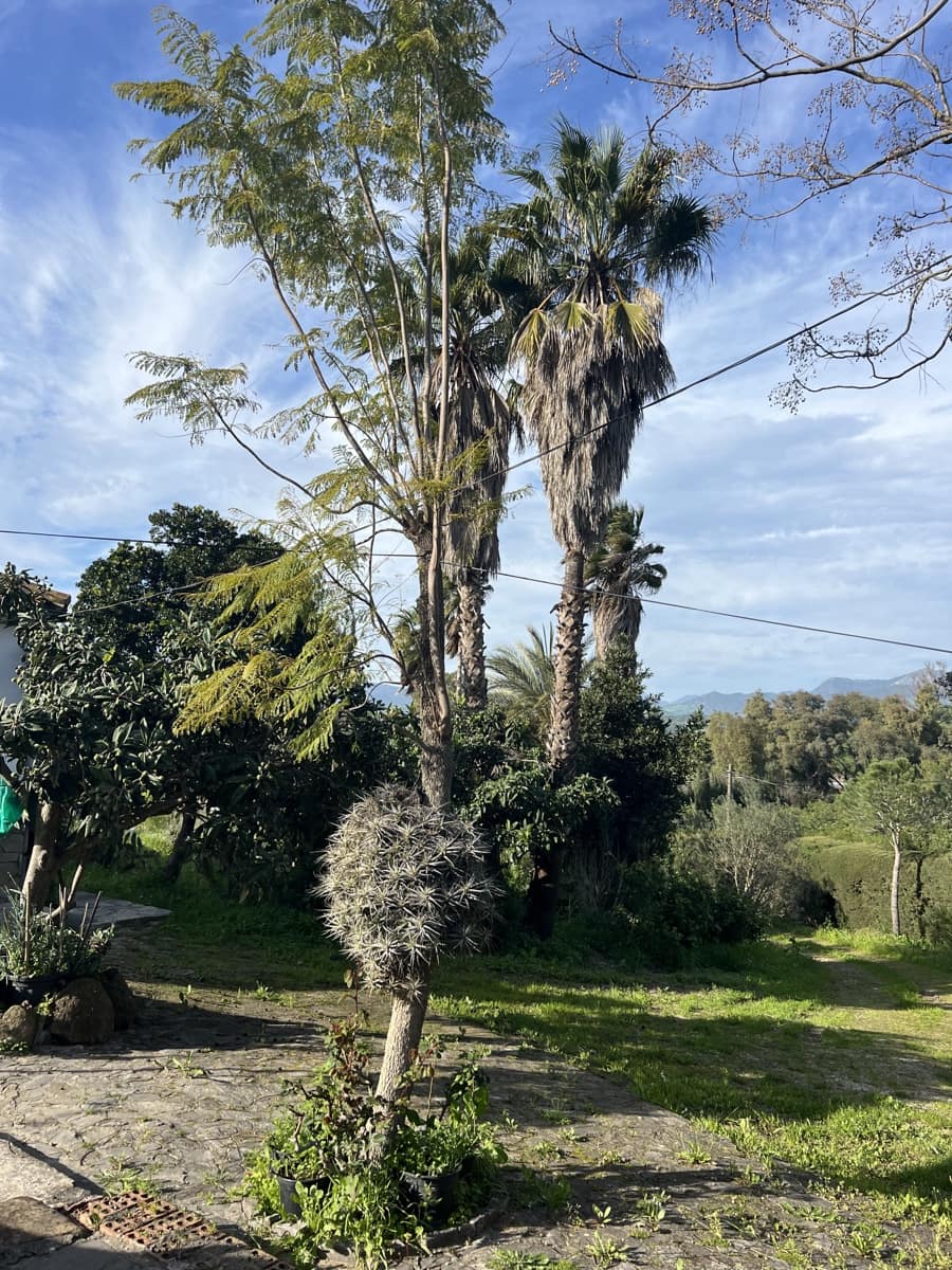 4 soveværelse Finca/Landehus til salg i Jimena de la Frontera - € 480.000 (Ref: 8886785)