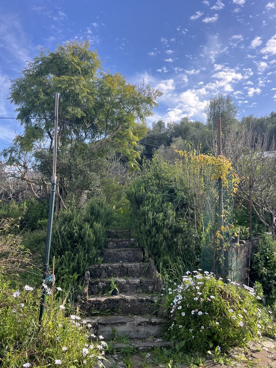 4 soveværelse Finca/Landehus til salg i Jimena de la Frontera - € 480.000 (Ref: 8886785)