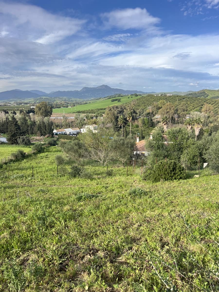 4 soveværelse Finca/Landehus til salg i Jimena de la Frontera - € 480.000 (Ref: 8886785)