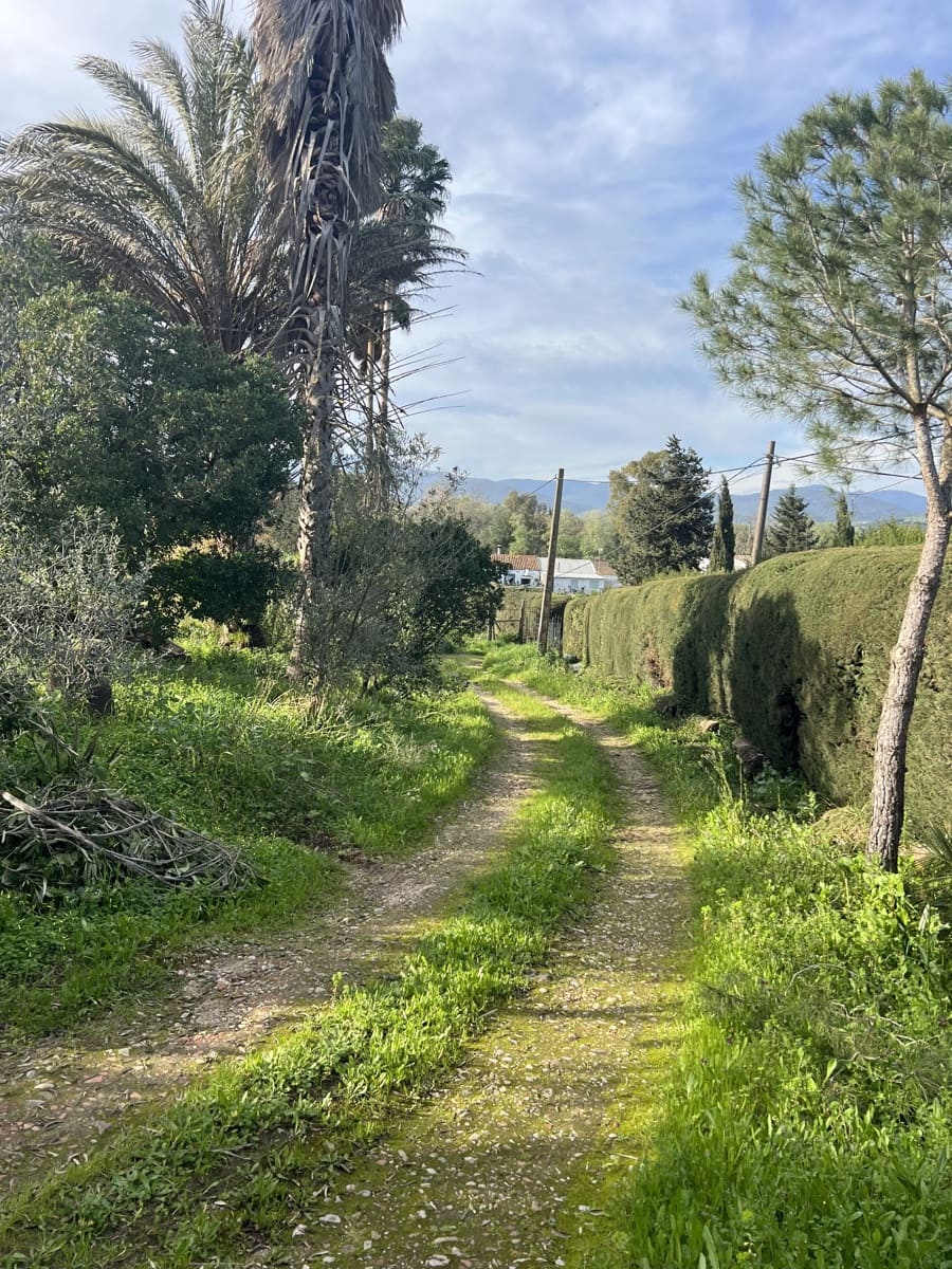 4 soveværelse Finca/Landehus til salg i Jimena de la Frontera - € 480.000 (Ref: 8886785)