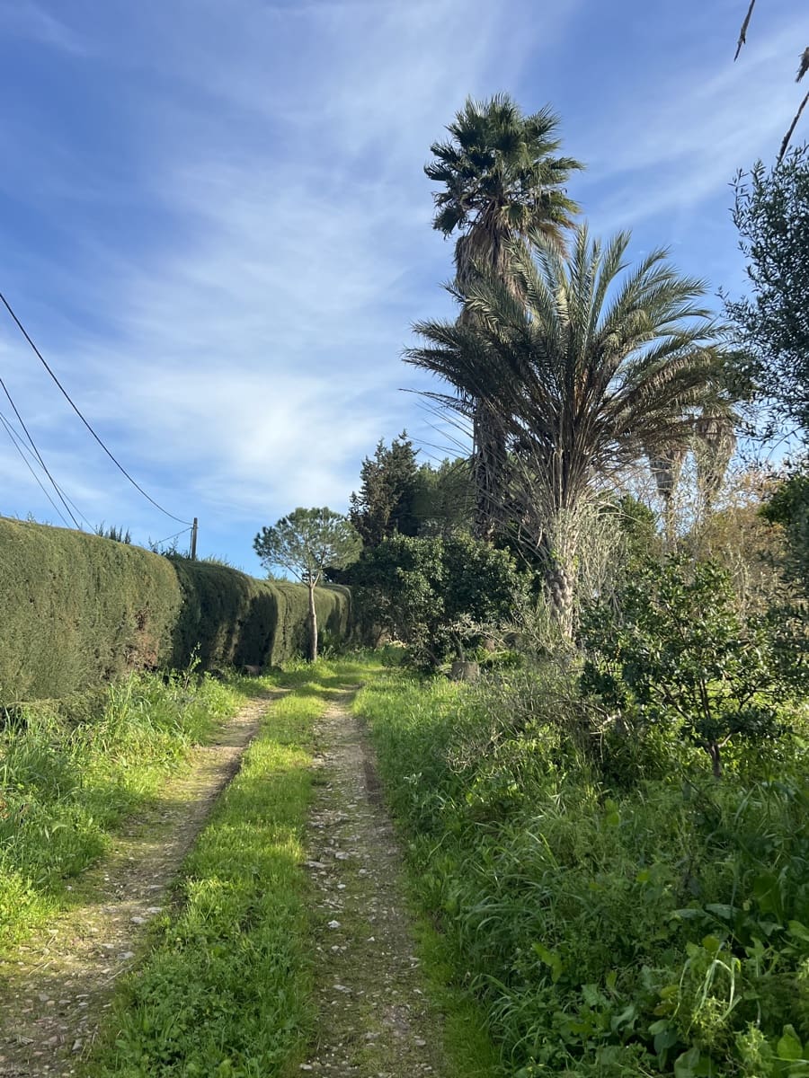 4 soveværelse Finca/Landehus til salg i Jimena de la Frontera - € 480.000 (Ref: 8886785)