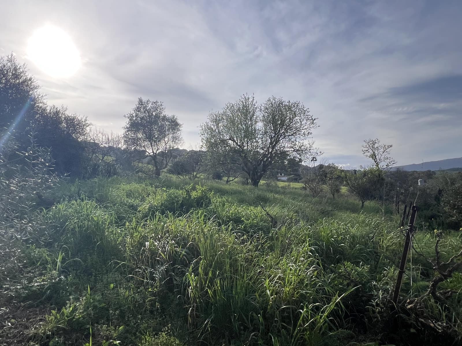 4 soveværelse Finca/Landehus til salg i Jimena de la Frontera - € 480.000 (Ref: 8886785)