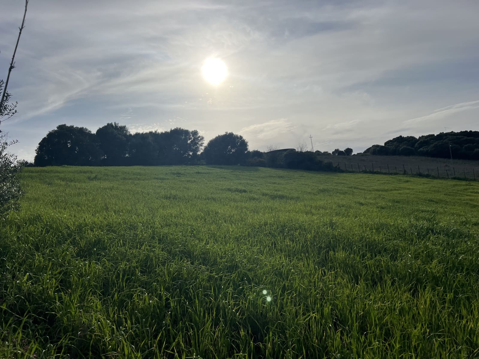 4 soveværelse Finca/Landehus til salg i Jimena de la Frontera - € 480.000 (Ref: 8886785)