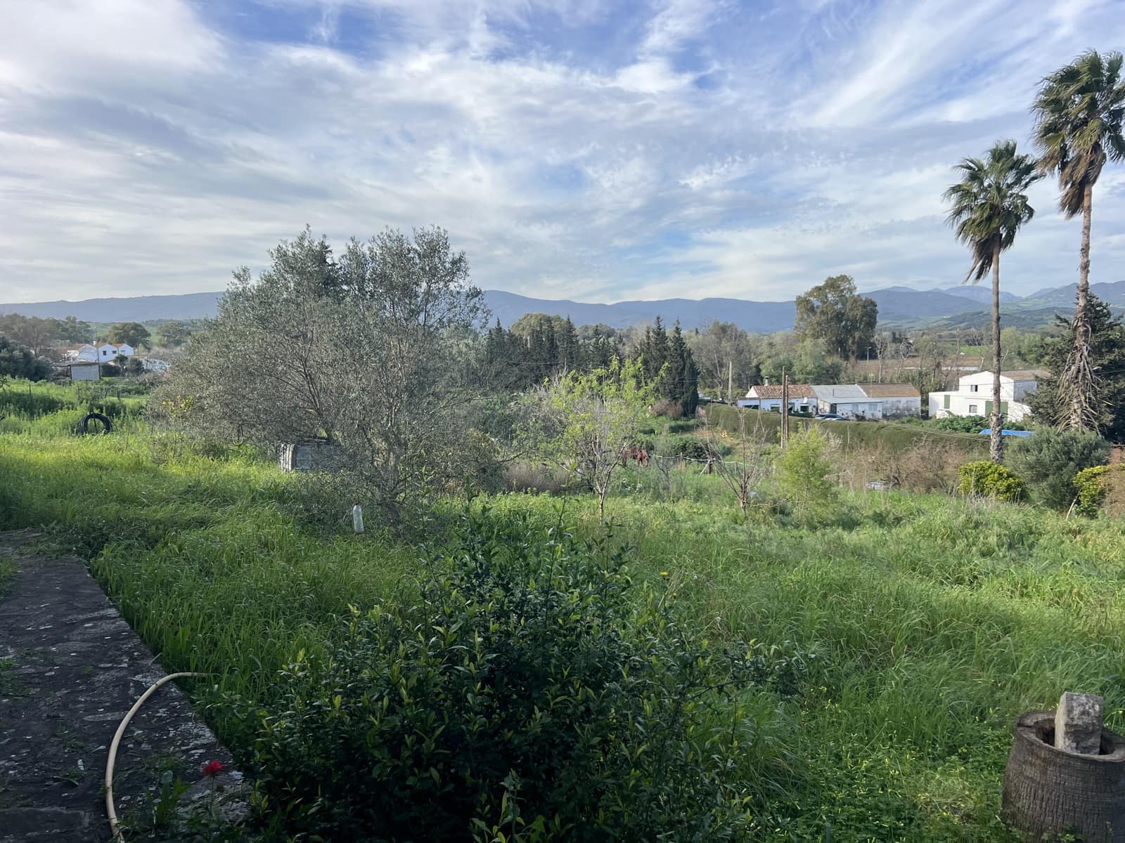 4 soveværelse Finca/Landehus til salg i Jimena de la Frontera - € 480.000 (Ref: 8886785)