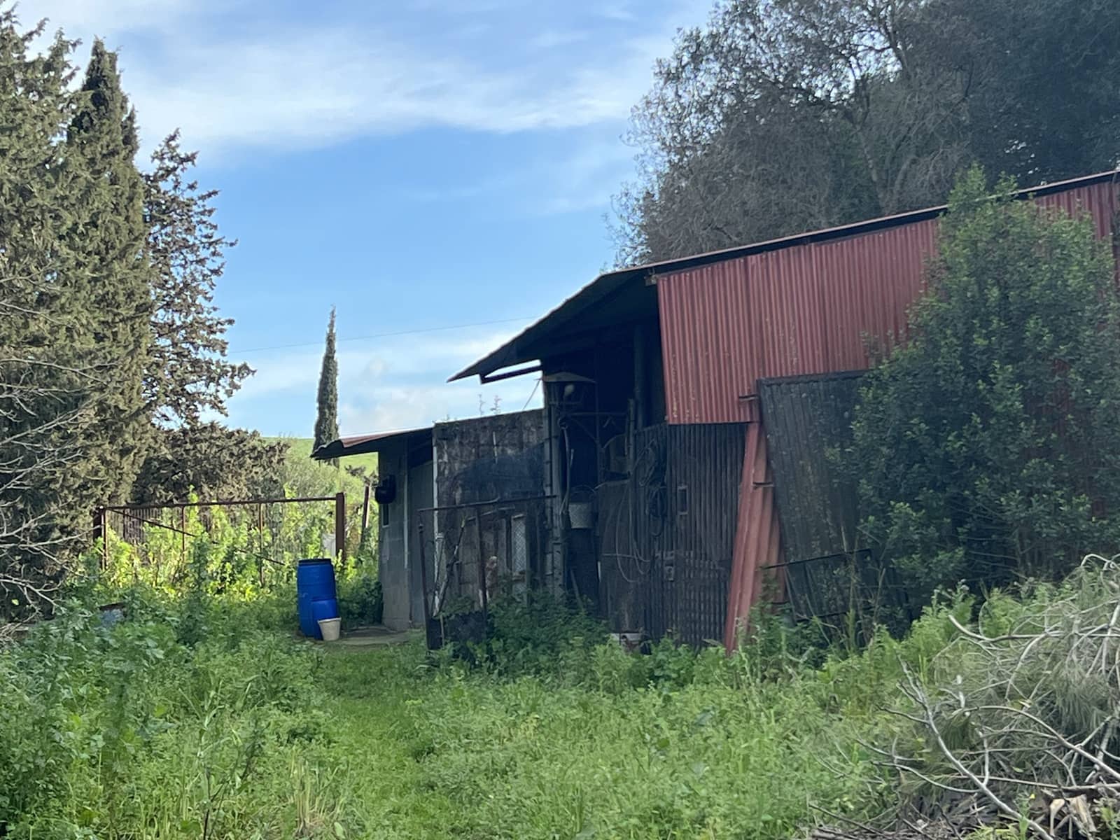 4 soveværelse Finca/Landehus til salg i Jimena de la Frontera - € 480.000 (Ref: 8886785)