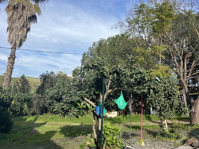 4 chambre Finca/Maison de Campagne à vendre à Jimena de la Frontera - 480 000 € (Ref: 8886785)