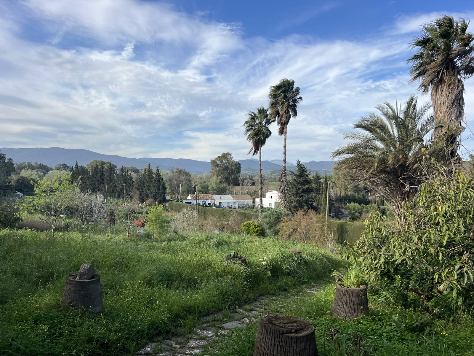 4 soveværelse Finca/Landehus til salg i Jimena de la Frontera - € 480.000 (Ref: 8886785)