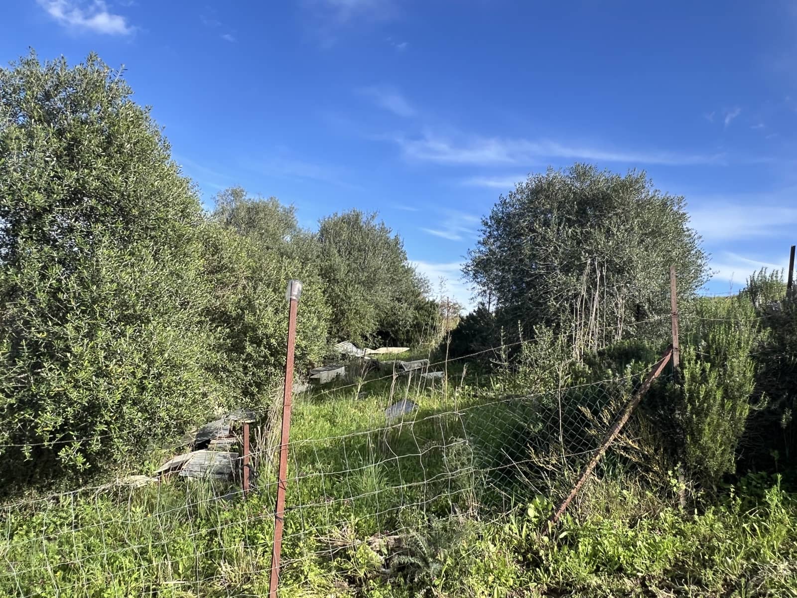 4 soveværelse Finca/Landehus til salg i Jimena de la Frontera - € 480.000 (Ref: 8886785)