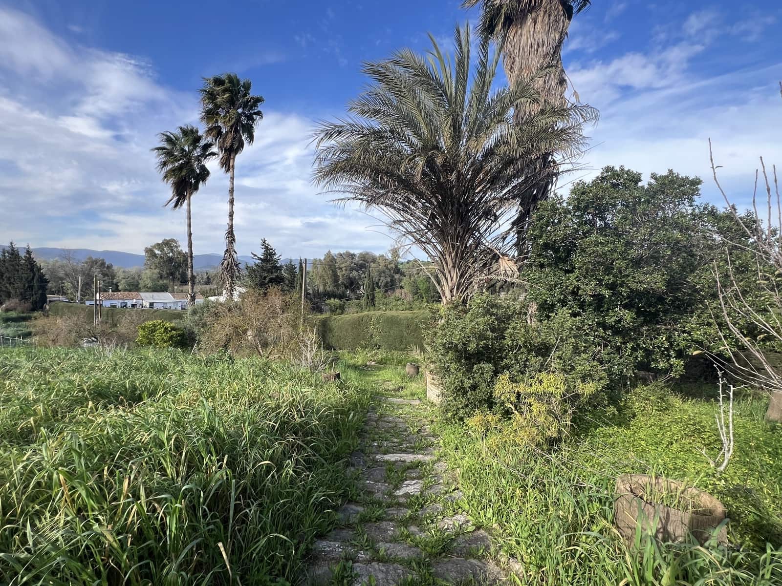 4 soveværelse Finca/Landehus til salg i Jimena de la Frontera - € 480.000 (Ref: 8886785)