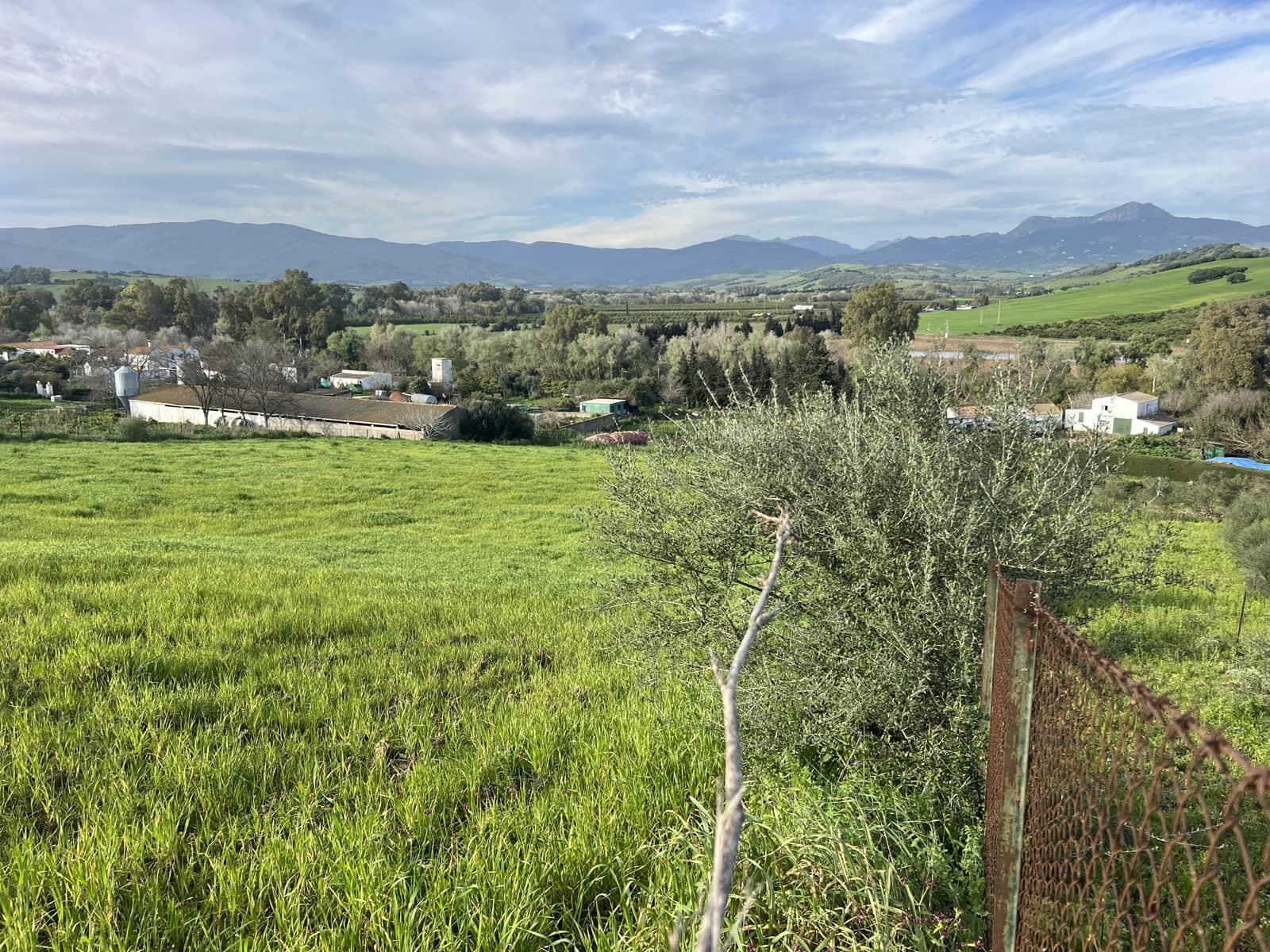 4 soveværelse Finca/Landehus til salg i Jimena de la Frontera - € 480.000 (Ref: 8886785)