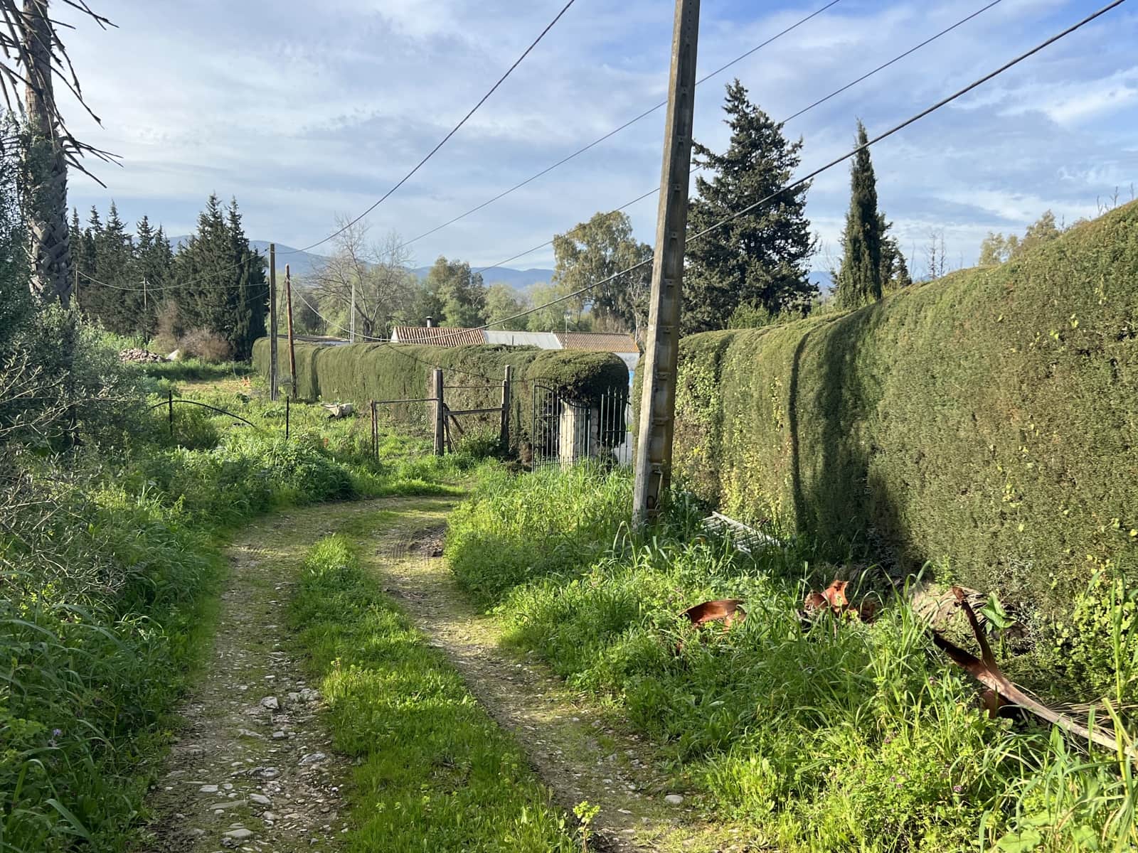 4 soveværelse Finca/Landehus til salg i Jimena de la Frontera - € 480.000 (Ref: 8886785)