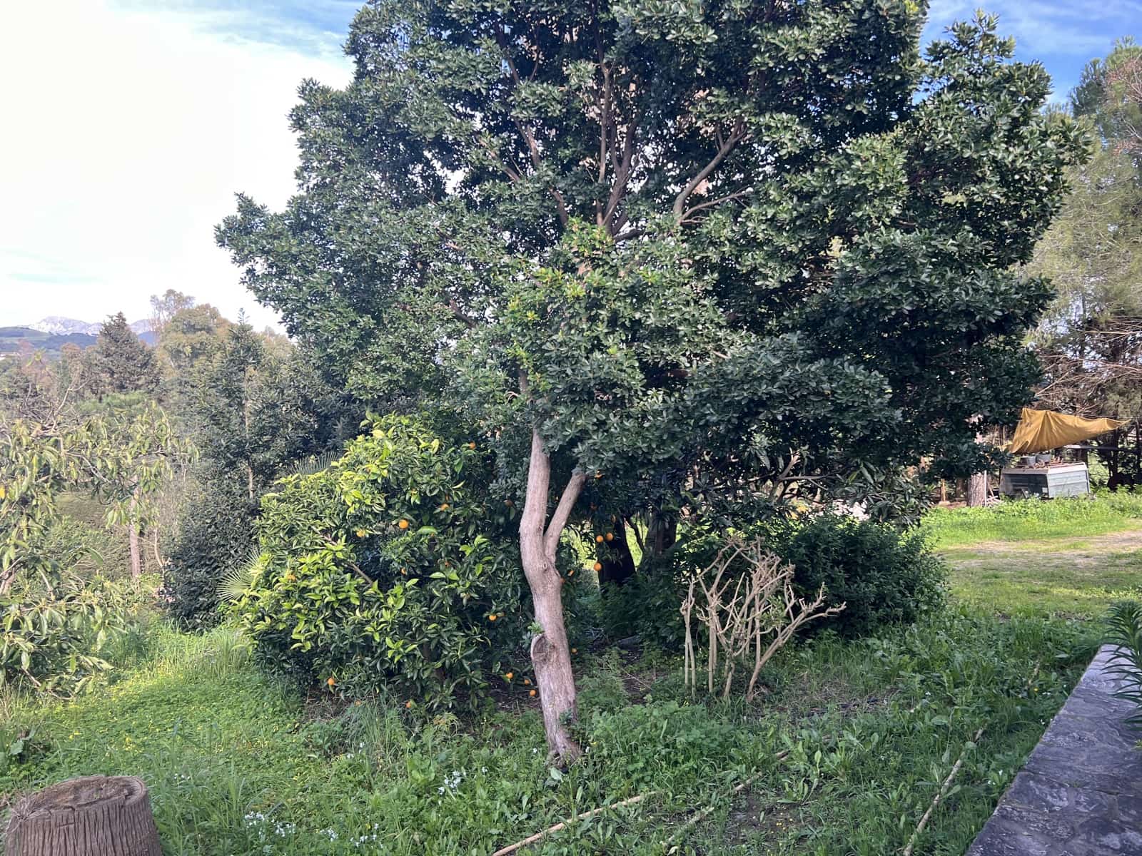 4 soveværelse Finca/Landehus til salg i Jimena de la Frontera - € 480.000 (Ref: 8886785)