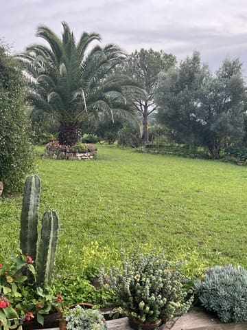 4 chambre Finca/Maison de Campagne à vendre à Jimena de la Frontera - 475 000 € (Ref: 8895293)