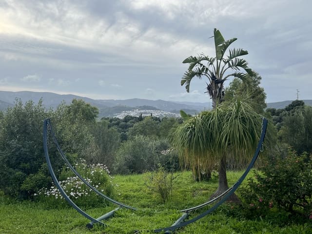 4 chambre Finca/Maison de Campagne à vendre à Jimena de la Frontera - 475 000 € (Ref: 8895293)