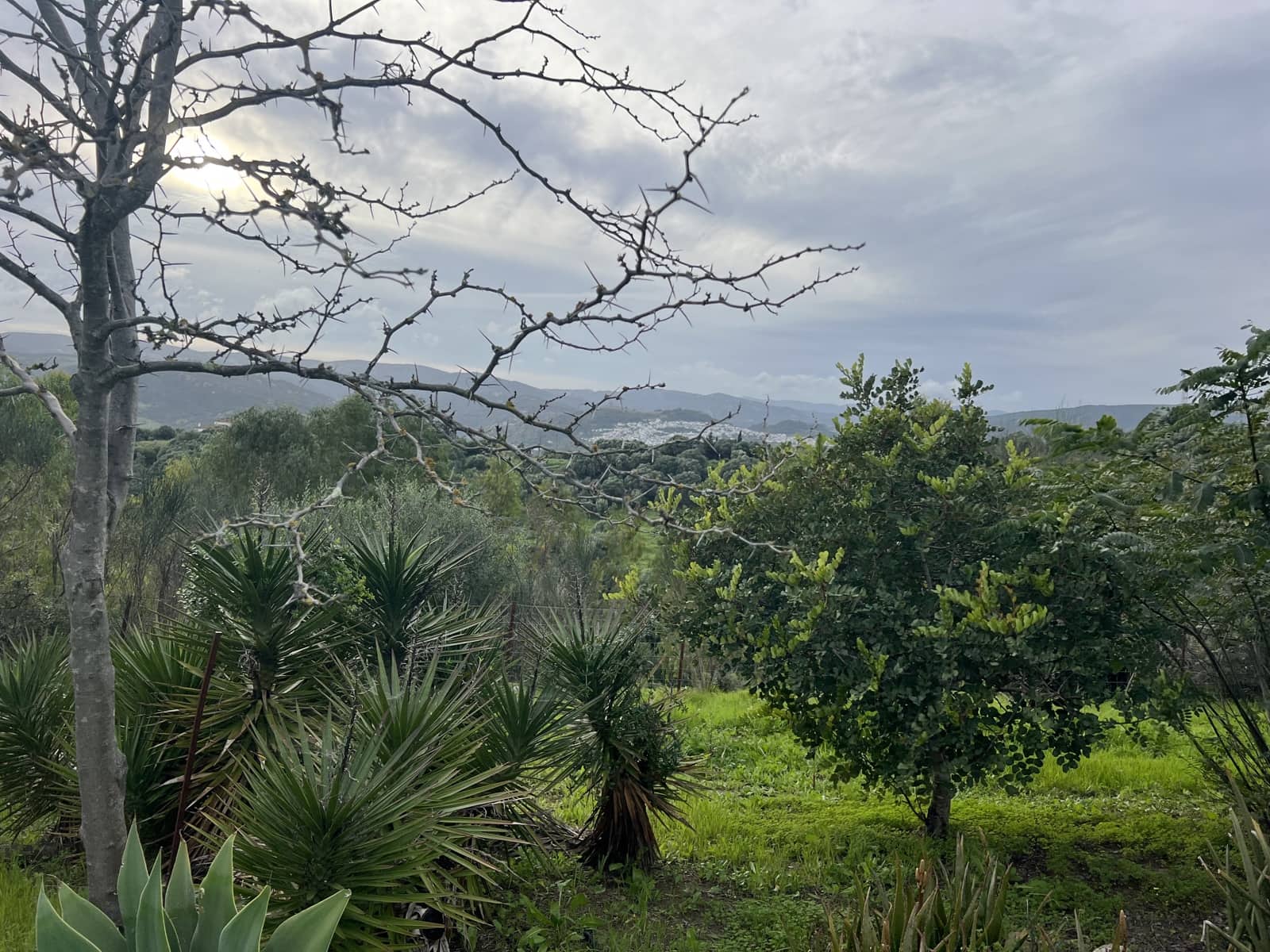 4 sovrum Finca/Hus på landet till salu i Jimena de la Frontera - 475 000 € (Ref: 8895293)