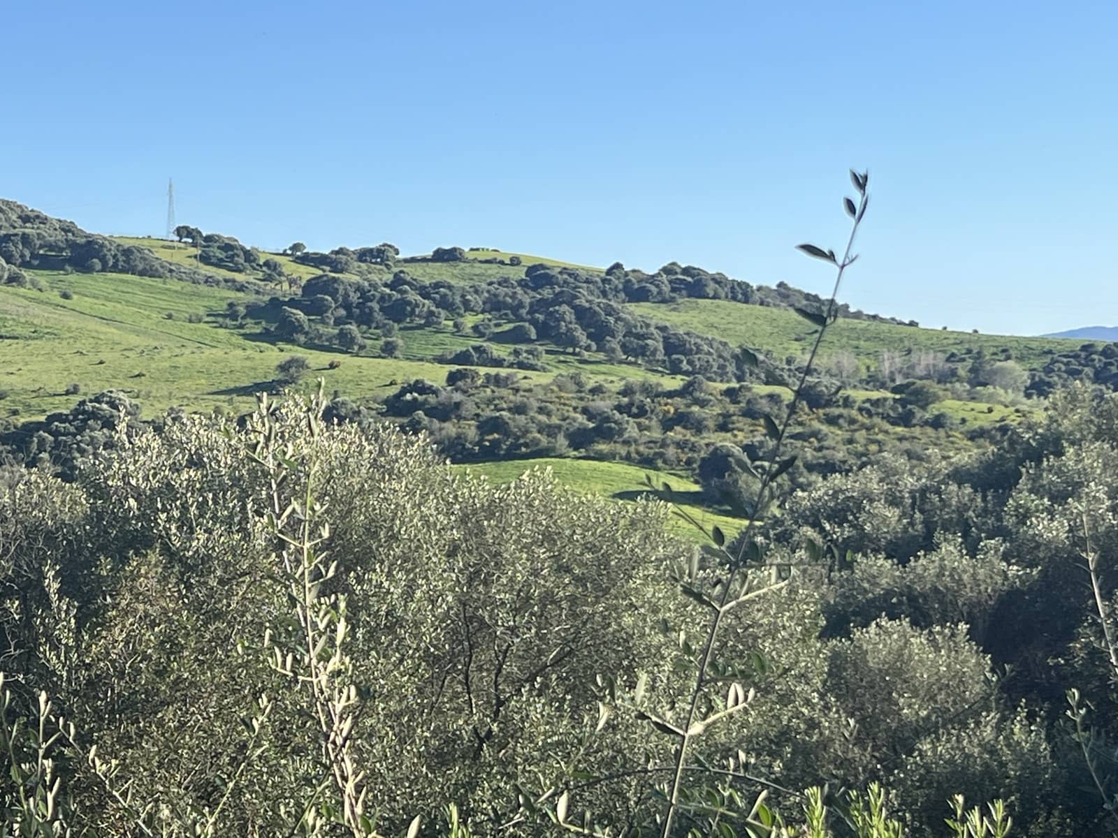 1 soveværelse Finca/Landehus til salg i Jimena de la Frontera - € 400.000 (Ref: 8901023)