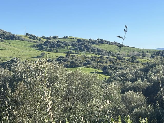 1 chambre Finca/Maison de Campagne à vendre à Jimena de la Frontera - 400 000 € (Ref: 8901023)