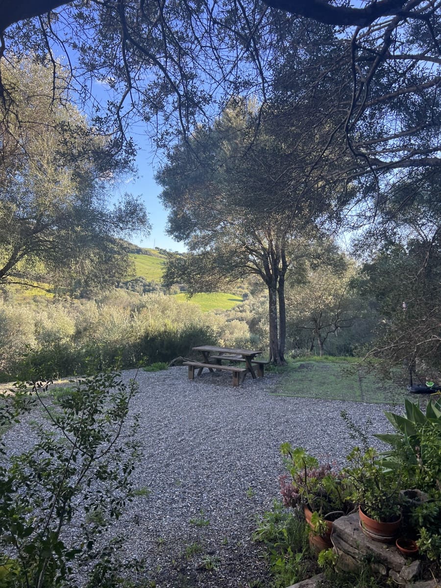 1 soveværelse Finca/Landehus til salg i Jimena de la Frontera - € 400.000 (Ref: 8901023)