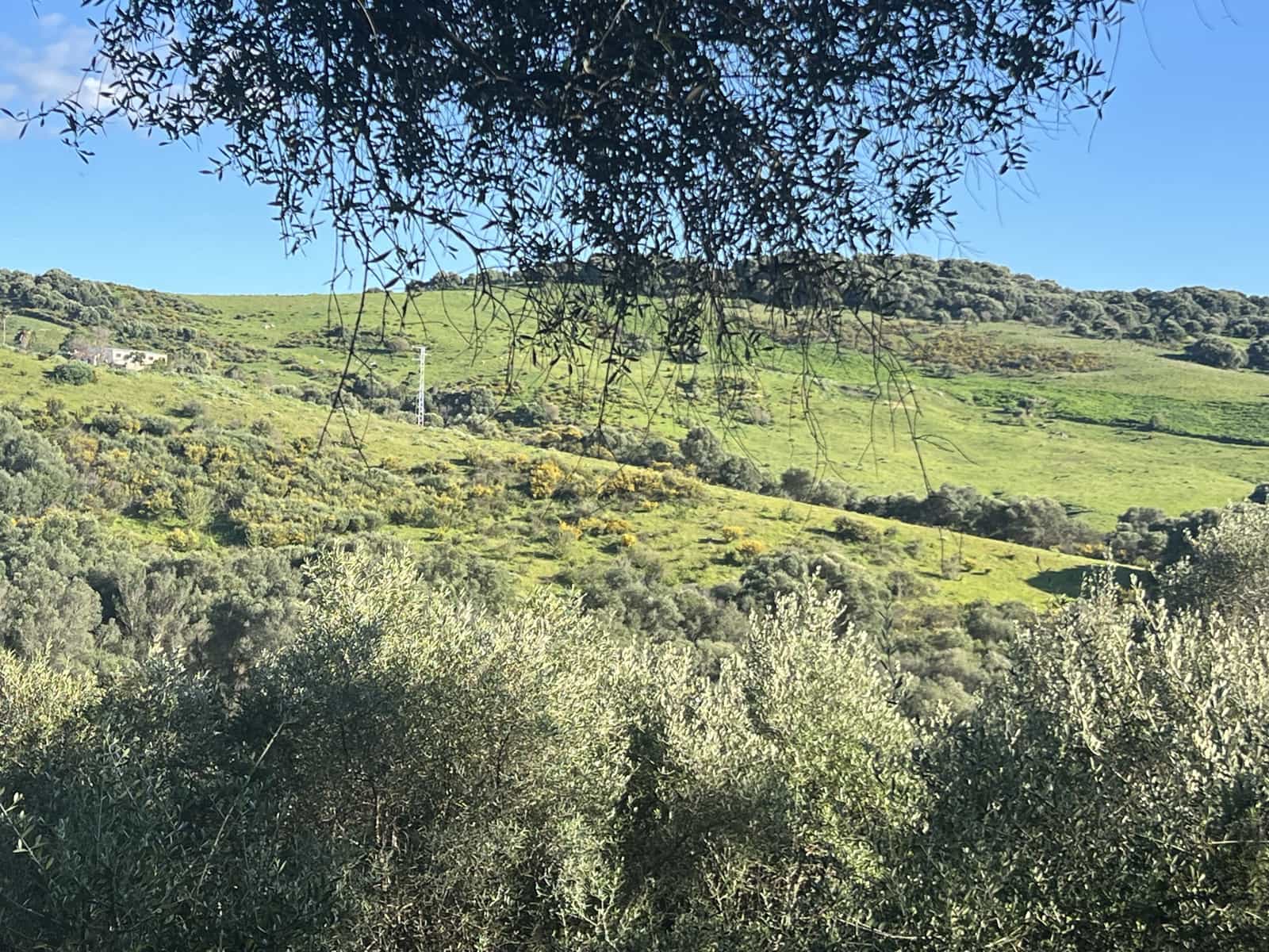 1 soveværelse Finca/Landehus til salg i Jimena de la Frontera - € 400.000 (Ref: 8901023)