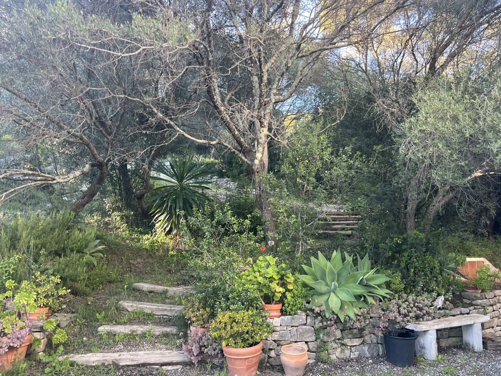 1 soveværelse Finca/Landehus til salg i Jimena de la Frontera - € 400.000 (Ref: 8901023)