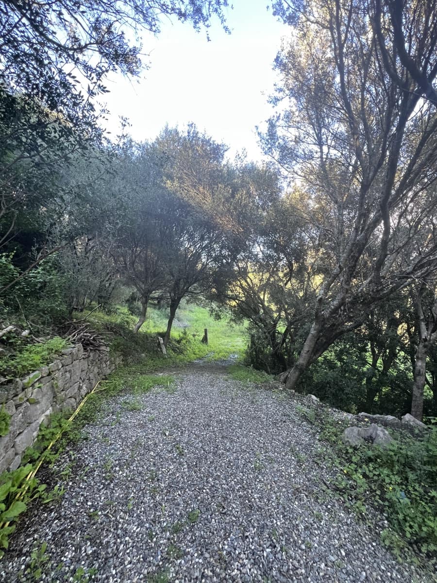 1 soveværelse Finca/Landehus til salg i Jimena de la Frontera - € 400.000 (Ref: 8901023)