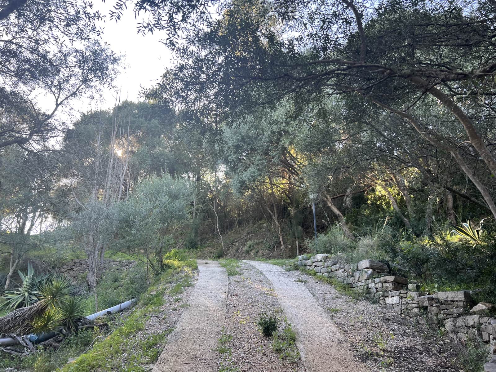 1 soveværelse Finca/Landehus til salg i Jimena de la Frontera - € 400.000 (Ref: 8901023)