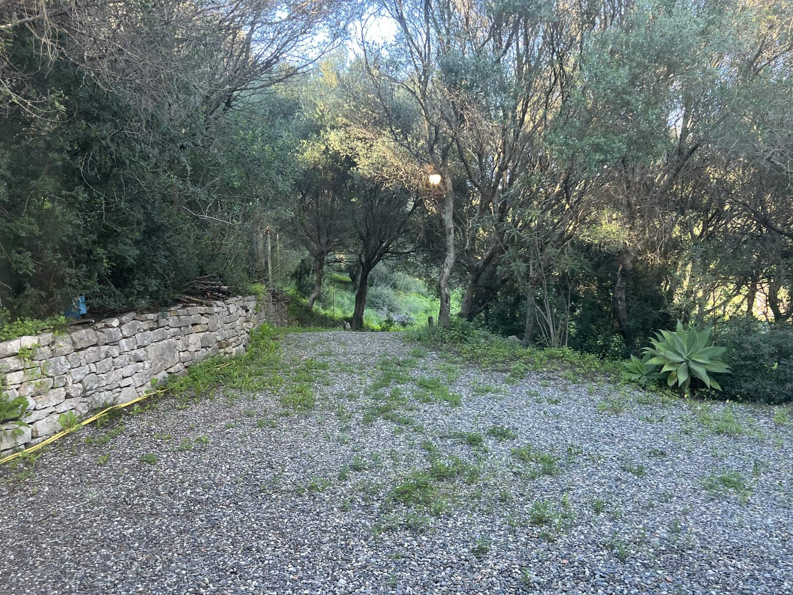 1 soveværelse Finca/Landehus til salg i Jimena de la Frontera - € 400.000 (Ref: 8901023)