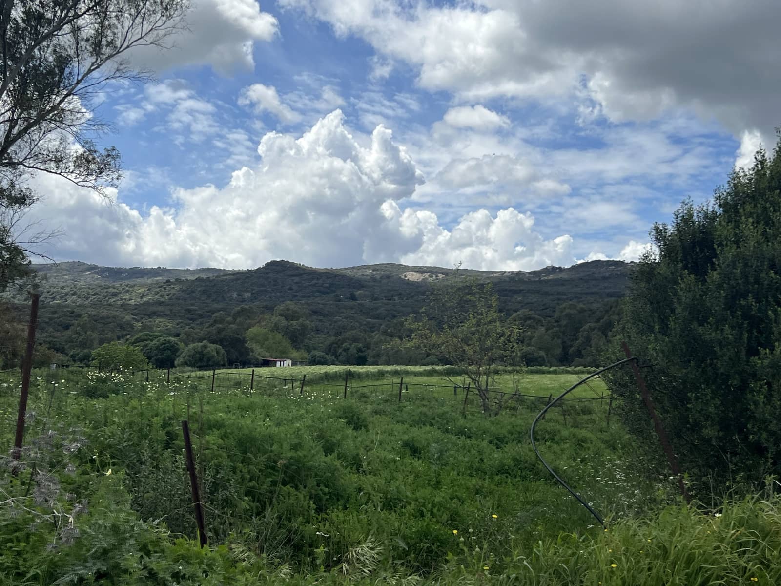 Byggegrund til salg i Jimena de la Frontera - € 300.000 (Ref: 8939148)