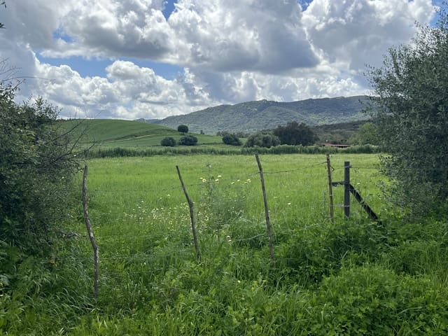 Terreno para Construção para venda em Jimena de la Frontera - 300 000 € (Ref: 8939148)