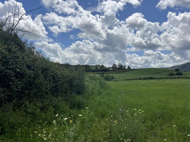Terreno para Construção para venda em Jimena de la Frontera - 300 000 € (Ref: 8939148)