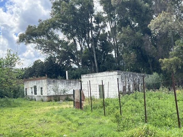 Terreno para Construção para venda em Jimena de la Frontera - 300 000 € (Ref: 8939148)