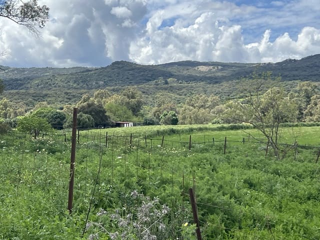 Terreno para Construção para venda em Jimena de la Frontera - 300 000 € (Ref: 8939148)
