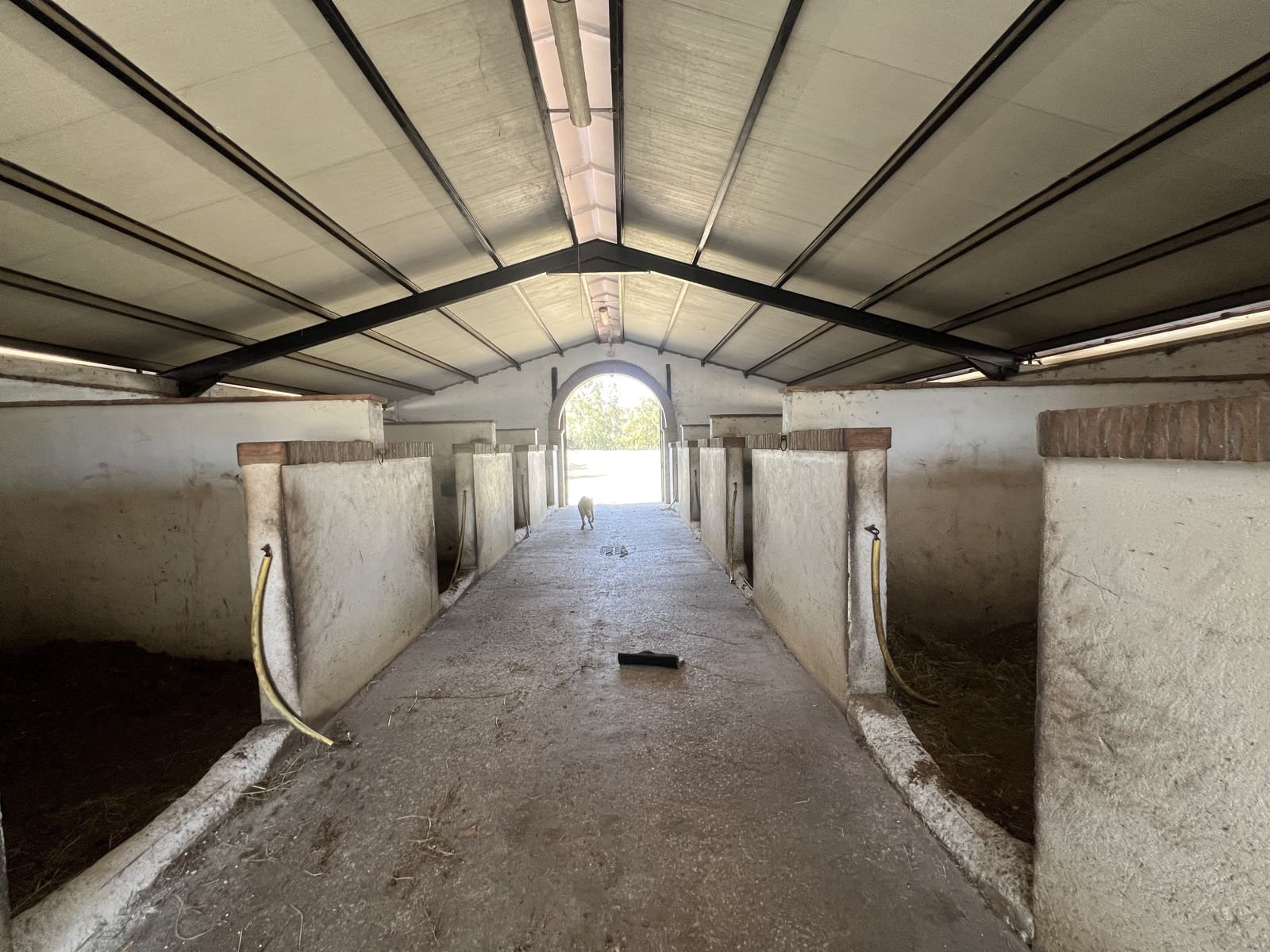 5 soveværelse Finca/Landehus til salg i Jimena de la Frontera - € 1.950.000 (Ref: 8954962)