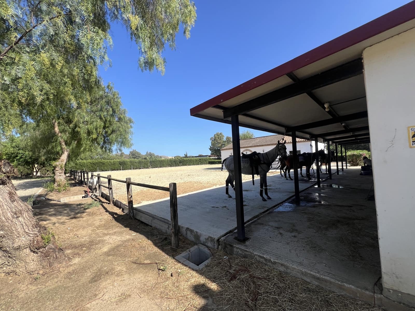 5 soveværelse Finca/Landehus til salg i Jimena de la Frontera - € 1.950.000 (Ref: 8954962)