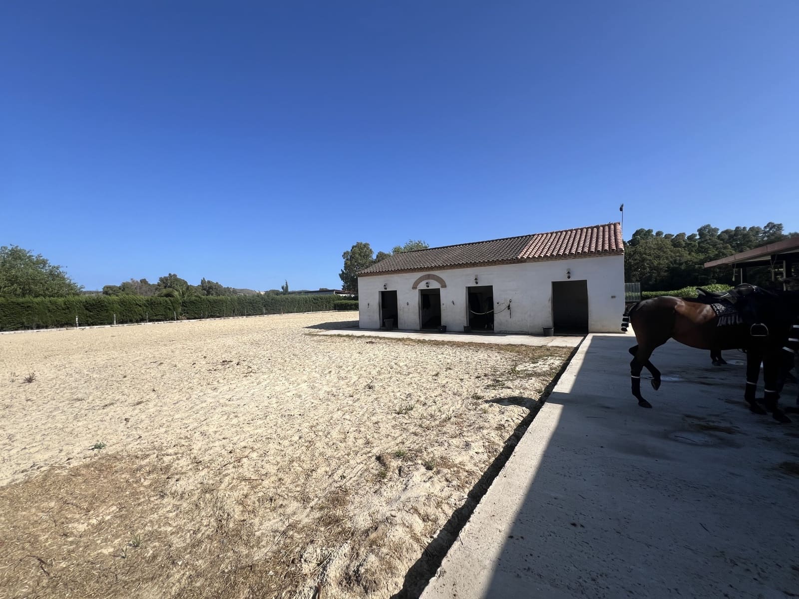 5 soveværelse Finca/Landehus til salg i Jimena de la Frontera - € 1.950.000 (Ref: 8954962)