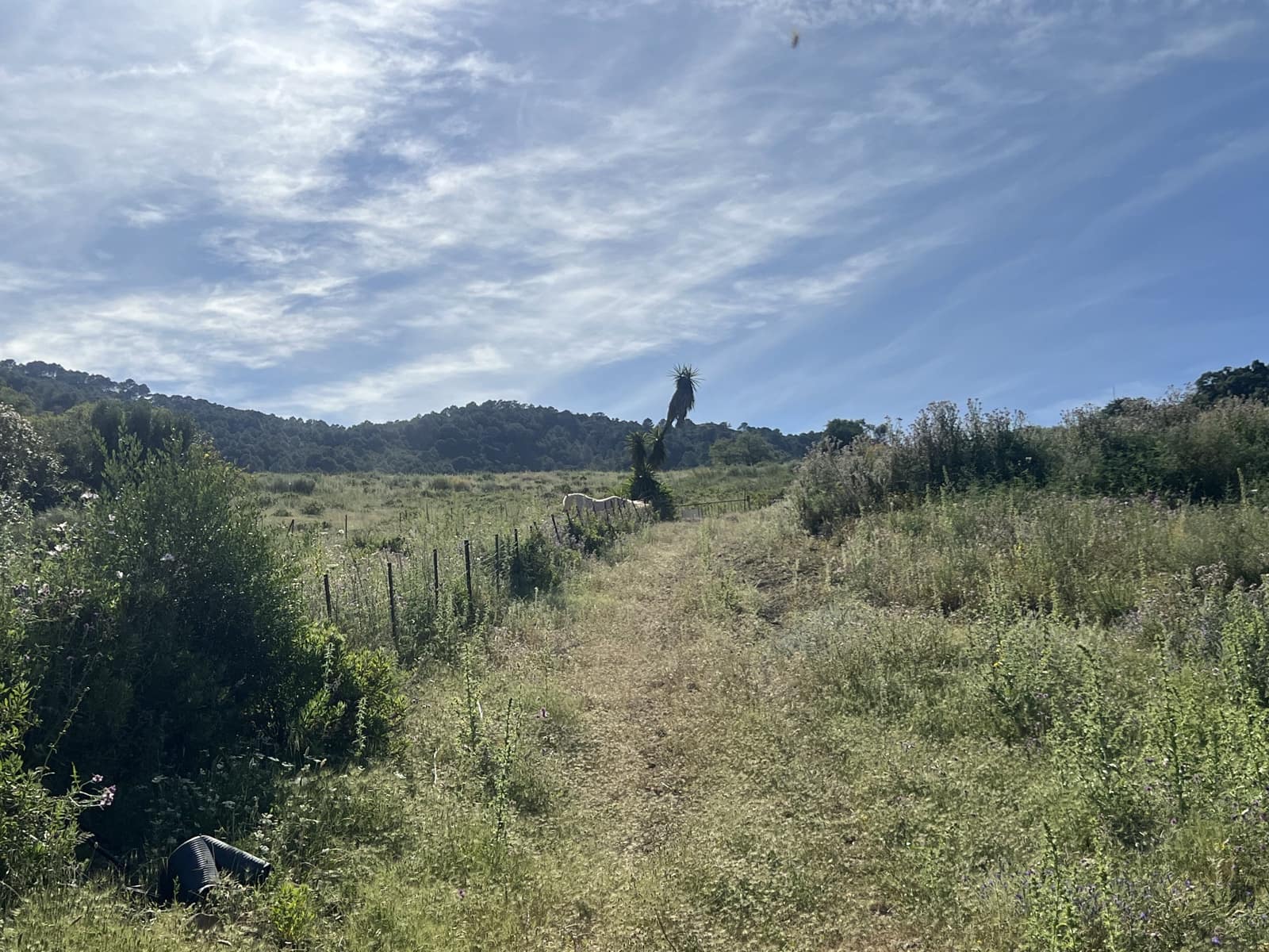 4 soverom Finca/Herregård til salgs i Gaucin - € 1 200 000 (Ref: 8954997)