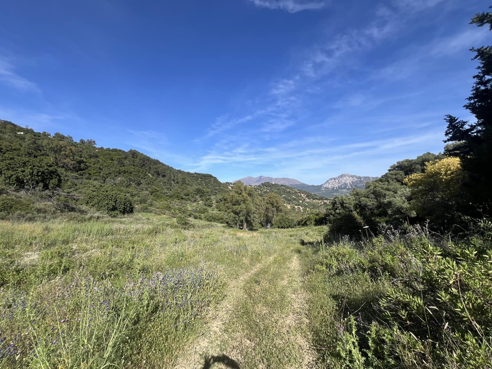 4 soverom Finca/Herregård til salgs i Gaucin - € 1 200 000 (Ref: 8954997)