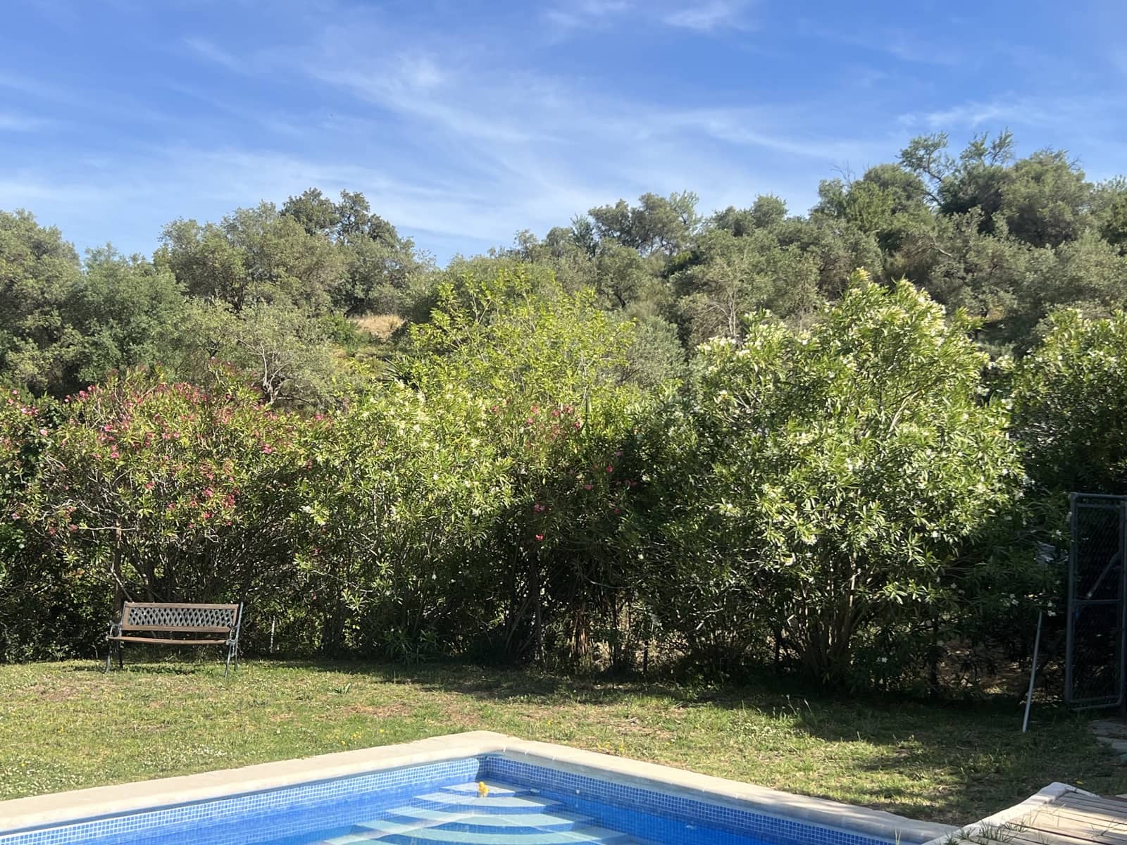 4 soverom Finca/Herregård til salgs i Gaucin - € 1 200 000 (Ref: 8954997)