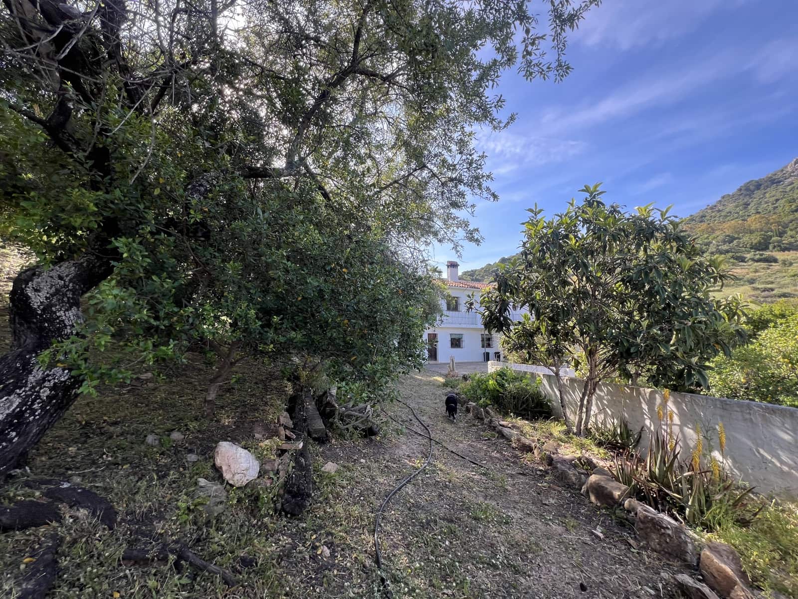 4 soverom Finca/Herregård til salgs i Gaucin - € 1 200 000 (Ref: 8954997)