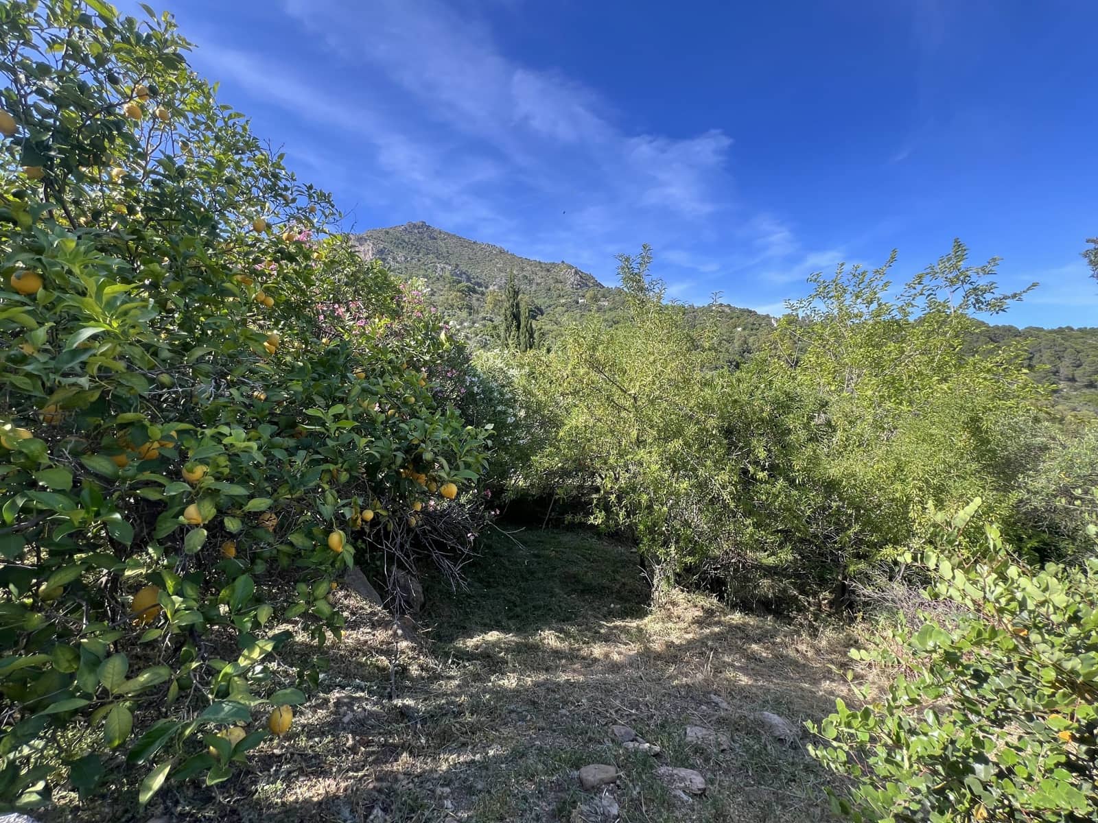 4 soverom Finca/Herregård til salgs i Gaucin - € 1 200 000 (Ref: 8954997)