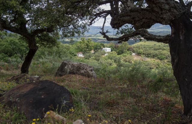 Finca/Landehus til salg i Jimena de la Frontera - € 4.100.000 (Ref: 8973320)