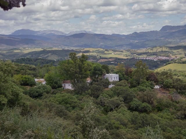 Finca/Landehus til salg i Jimena de la Frontera - € 4.100.000 (Ref: 8973320)