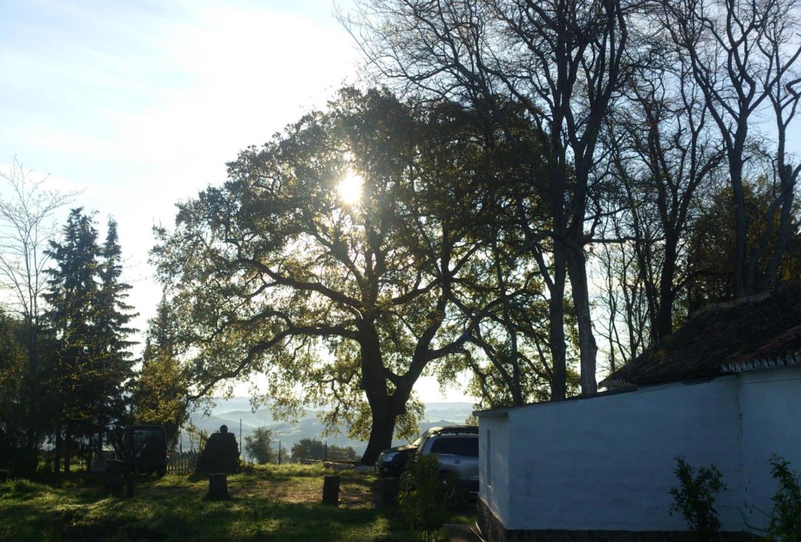 Maalaistalo myytävänä paikassa Jimena de la Frontera - 4 100 000 € (Ref: 8973320)